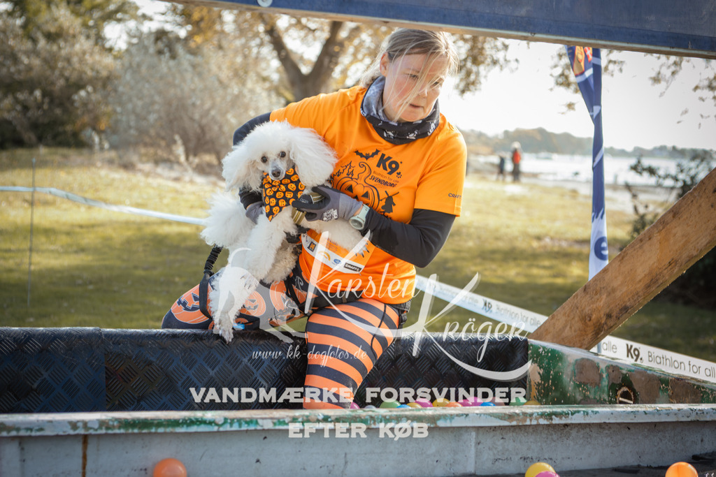 1307_ZZ99250-2 | kk-dogfotos