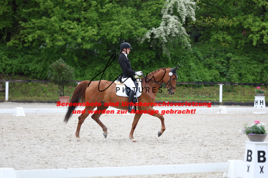 A40A9655 | lmwpictures - Realisiert mit Pictrs.com