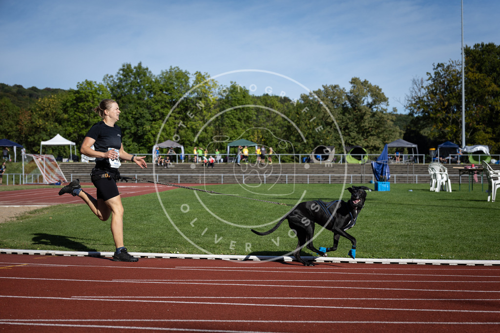 Pfotenfotografie_DV3A9045 | Hundefotografie, Tierfotograf, Pfotenfotografie, Fotoshooting Hund, Hunde Portrait, Hundesport, Hundeportraits, Heideshooting, Hunde, Sportfotograf, Hundefotograf, Turnierhundsport, THS,  - Realisiert mit Pictrs.com