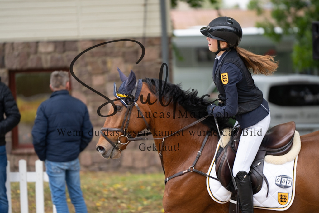 A7V01086 | Pferdefotograf