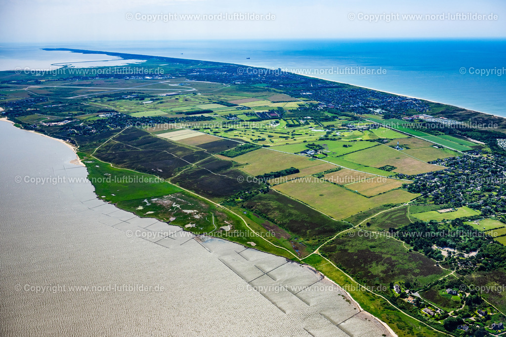 Sylt_Braderup_Braderupper_Heide_Wenningstedt_ELS_7100130625 | WENNINGSTEDT-BRADERUP (SYLT) 21.06.2025 Küstenbereich der Nordsee - Insel in Wenningstedt-Braderup (Sylt) Braderupper Heide Landschaft im Bundesland Schleswig-Holstein. // Coastal area of a??a??the North Sea - island in Wenningstedt-Braderup (Sylt) Braderupper Heide landscape in the state of Schleswig-Holstein. Foto: Martin Elsen