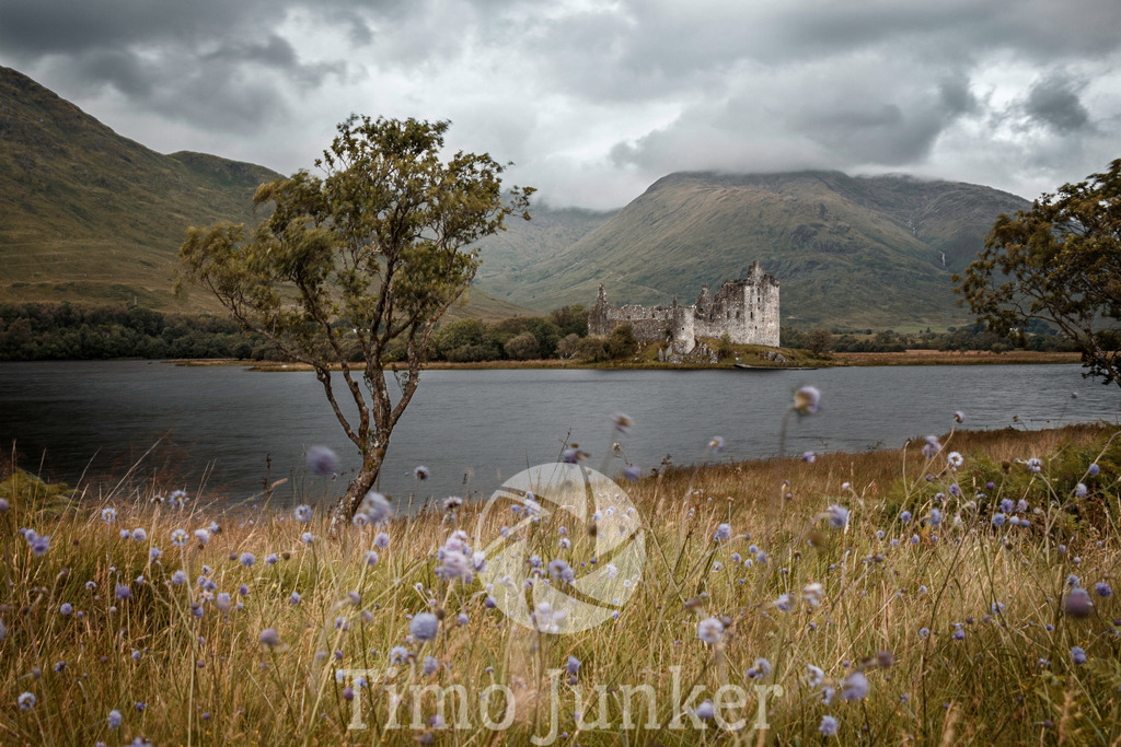 Shop_Landscapes-0410 | junker-foto - Realisiert mit Pictrs.com