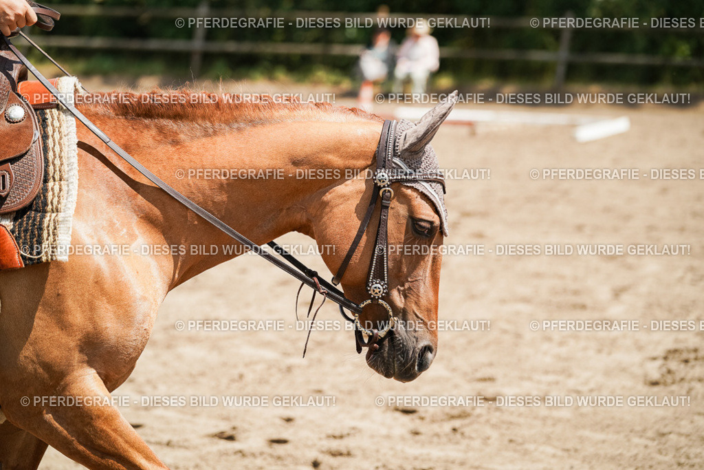 DSC07825 | Pferdegrafie