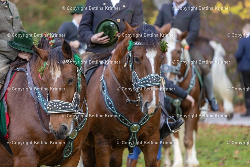 LL24-245 | foto-bettina-krinner - Realisiert mit Pictrs.com