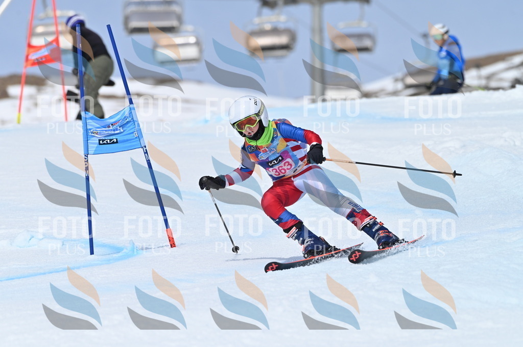 BGV_3900 | holidayphoto