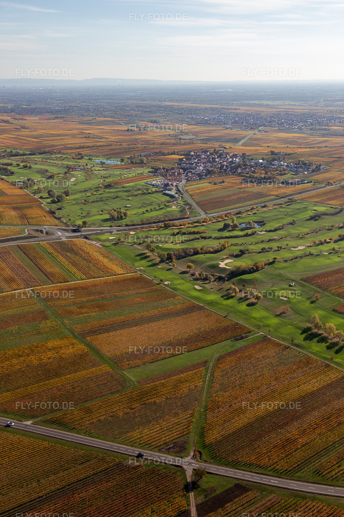 Luftbild: Golfgarten Deutsche Weinstraße in Dackenheim im Bundesland Rheinland-Pfalz in Deutschland. Foto: IMG_123641.jpg vom 31.10.2020 durch Werner Riehm/FLY-FOTO.de