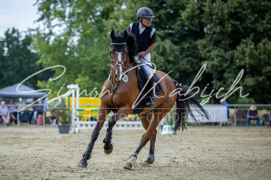 20260704-_3LI1564 | Tierfotografie Pferde, Hunde, Katzen, Haustiere.
Turnierfotografie Reitturniere, Reiten, Springreiten, Dressur in Hanau, dem Main-Kinzig-Kreis und dem Rhein-Main- Gebiet um Frankfurt