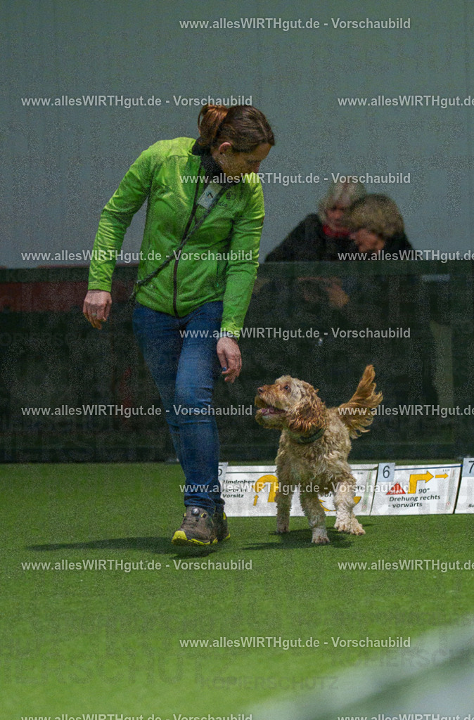 7R504498 | Professionelle Tierfotografie in Mönchengladbach von Daniel Wirth (allesWIRTHgut). Liebevolle & natürliche Bilder von Hunden & Katzen für unvergessliche Erinnerungen.