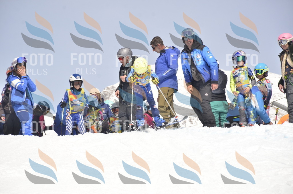 _ELE8755 | holidayphoto