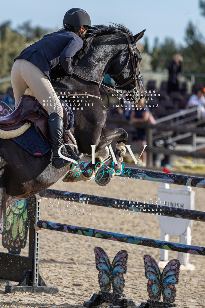 IMG_0490 | s-jay-photography - Realisiert mit Pictrs.com