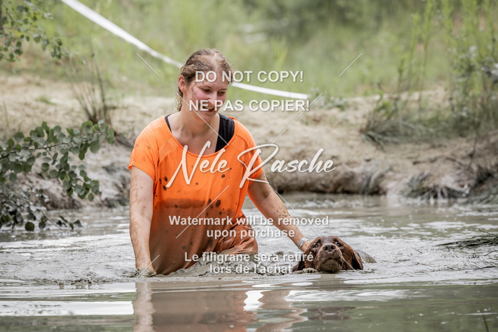 nelerasche_so1515-1530_219 | nelerasche