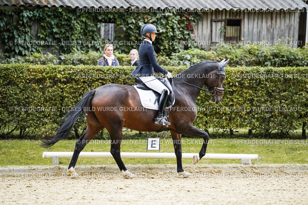 DSC09896 | Pferdegrafie