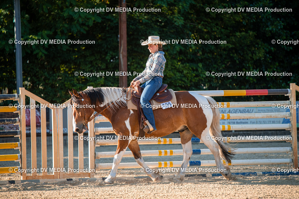 EWP_7164 | dv-media-shop - Realisiert mit Pictrs.com