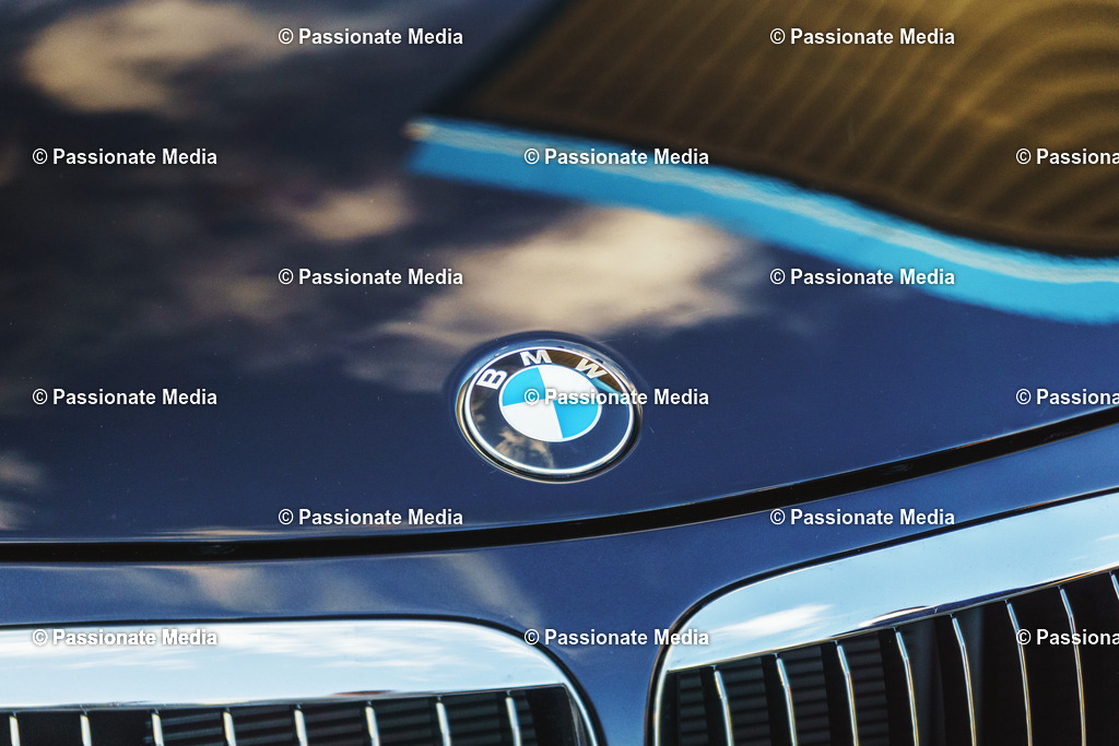 _DSC5792 | Passionate Media, dein Fotograf aus Brandenburg, Märkisch Oderland, im Bereich Motorsport, Autos und Motorräder sowie Events und auch Hunde. Shootings oder auch Eventbegleitungen können bei mir gebucht we