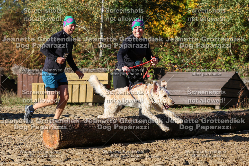 Dog Paparazzi - Strongdog 10-25-1875 | Dog Paparazzi Jeanette Grottendiek Fotografie & Videografie - Realisiert mit Pictrs.com
