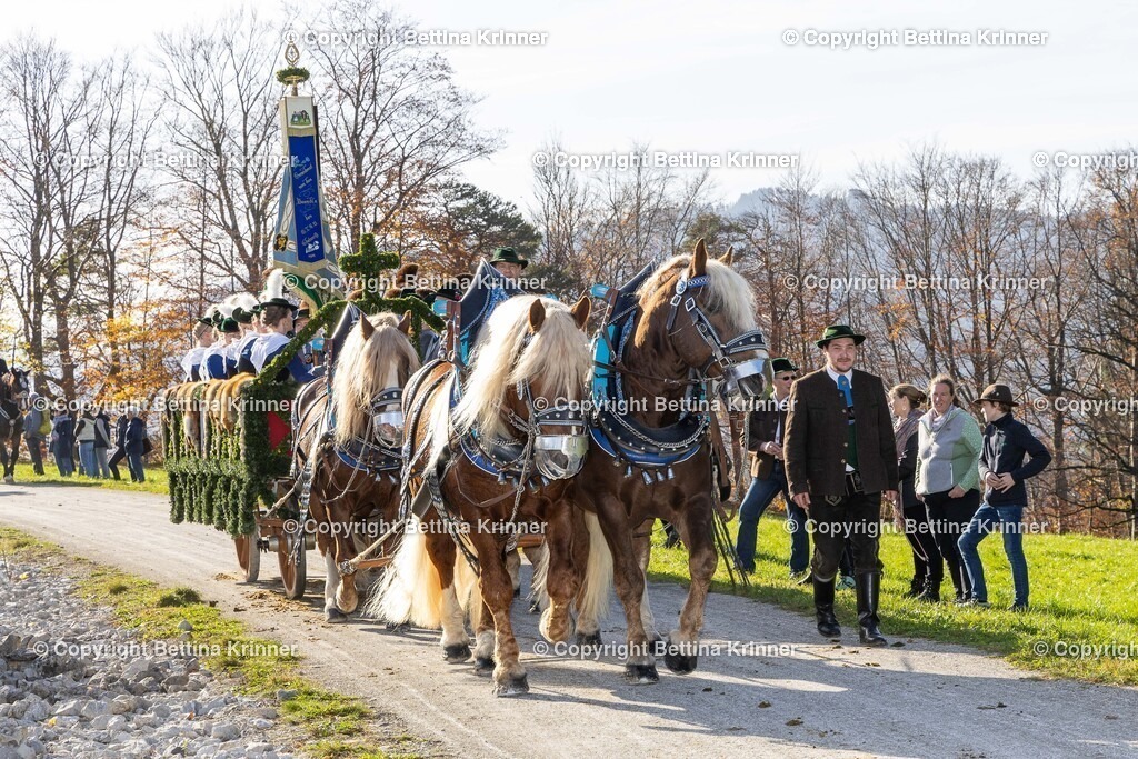 LBT24-1529 | foto-bettina-krinner - Realisiert mit Pictrs.com