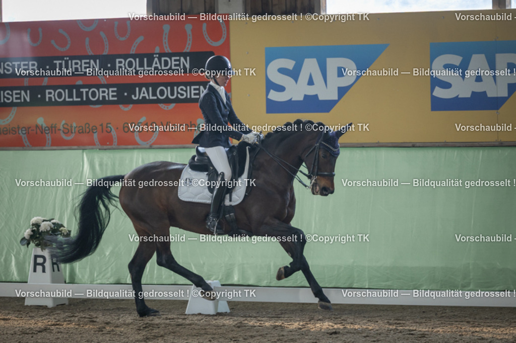 _D5A4317 | Emotionale Pferde- & People-Fotografie rund um Heidelberg, Leimen & Umgebung. Natürliche Fotos von Pferd, Mensch & Familie. Jetzt Termin sichern!