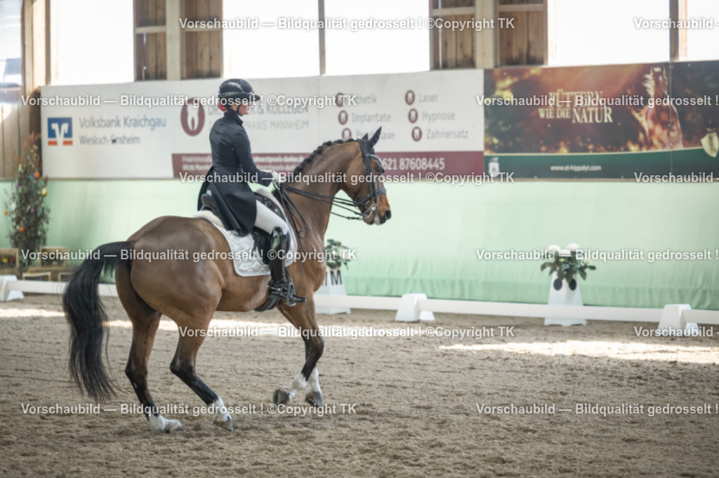 _D5A9841 | Emotionale Pferde- & People-Fotografie rund um Heidelberg, Leimen & Umgebung. Natürliche Fotos von Pferd, Mensch & Familie. Jetzt Termin sichern!