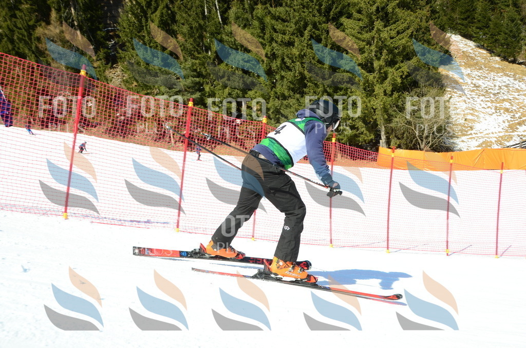 C6669 | holidayphoto