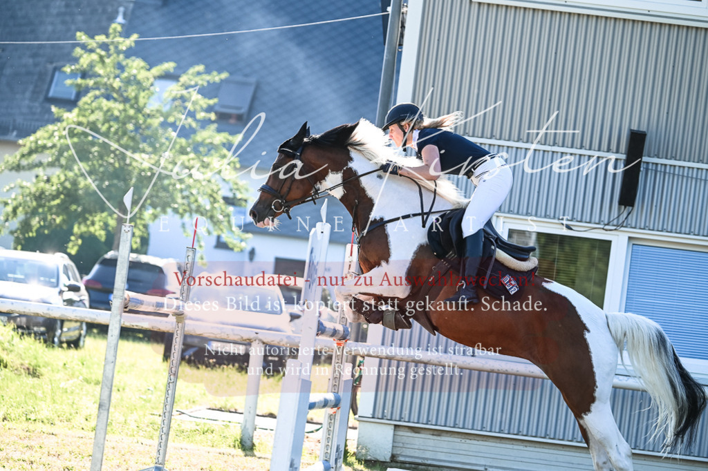 DSC_2862 | Pferde- und Turnierfotografie in Westsachsen. Pferdeportraits, Auftragszeichnungen und intuitive Kunst.