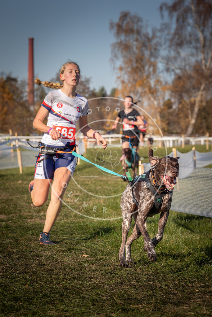 CaniXpix_0L8A8250 | Hundefotografie, Tierfotograf, Pfotenfotografie, Fotoshooting Hund, Hunde Portrait, Hundesport, Hundeportraits, Heideshooting, Hunde, Sportfotograf, Hundefotograf, Turnierhundsport, THS,  - Realisiert mit Pictrs.com