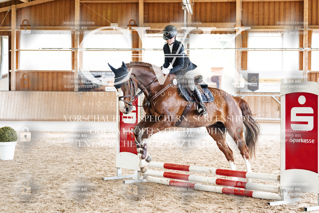CK902593 | Turnierfotografie Pferdefotografie Trier Rheinland-Pfalz Pferdesport Reitsport Tierfotografie Sportfotografie Pferdevideo Pferdevideografie Equestrianvideography equestrianphotography  - Realisiert mit Pictrs.com