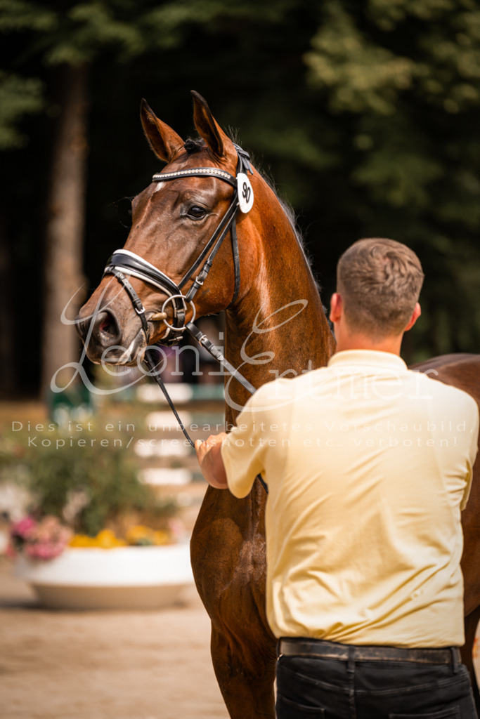 6.Fr00175 | Leoni Ertmer Photography - Realisiert mit Pictrs.com