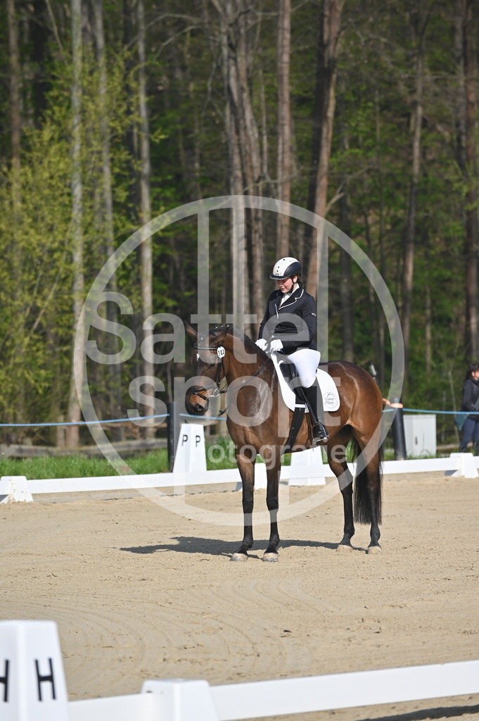 DSC_0019 | sattelsport - Realisiert mit Pictrs.com