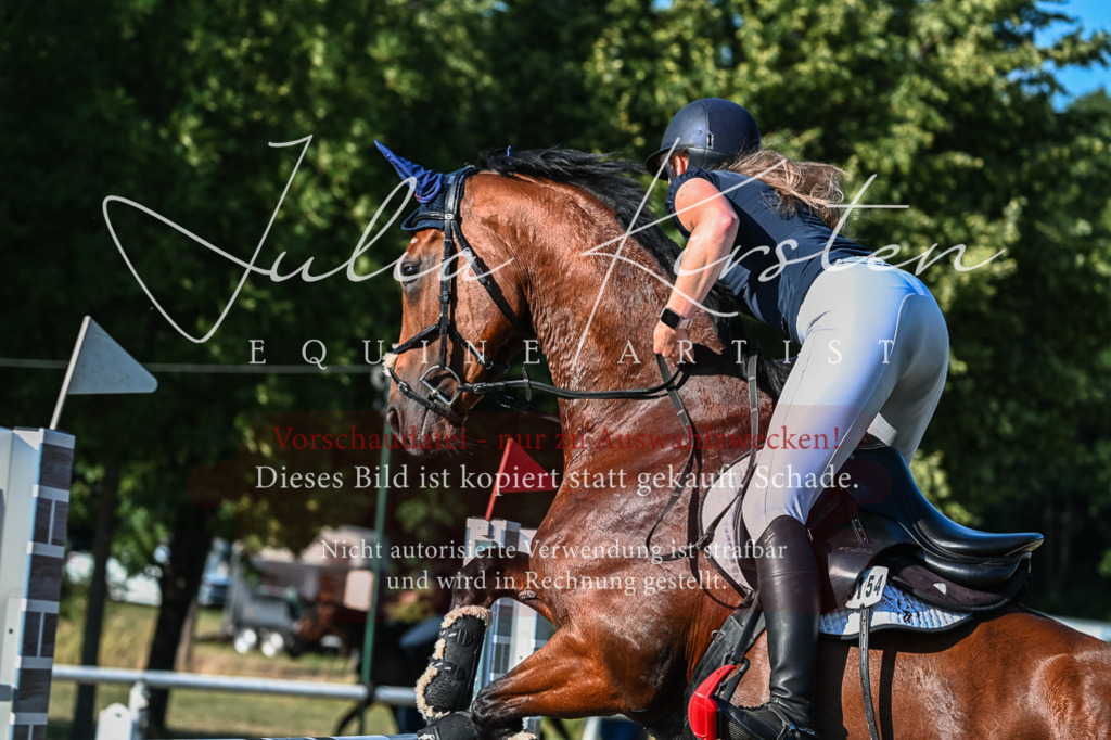 DSC_2907 | Pferde- und Turnierfotografie in Westsachsen. Pferdeportraits, Auftragszeichnungen und intuitive Kunst.
