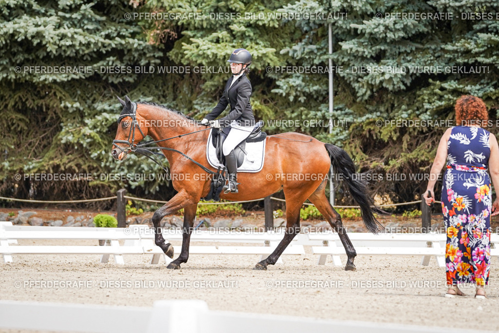 DSC02541 | Pferdegrafie