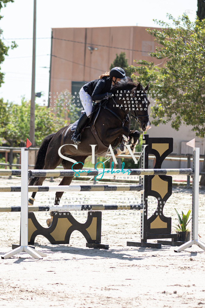 IMG_0098 | s-jay-photography - Realisiert mit Pictrs.com