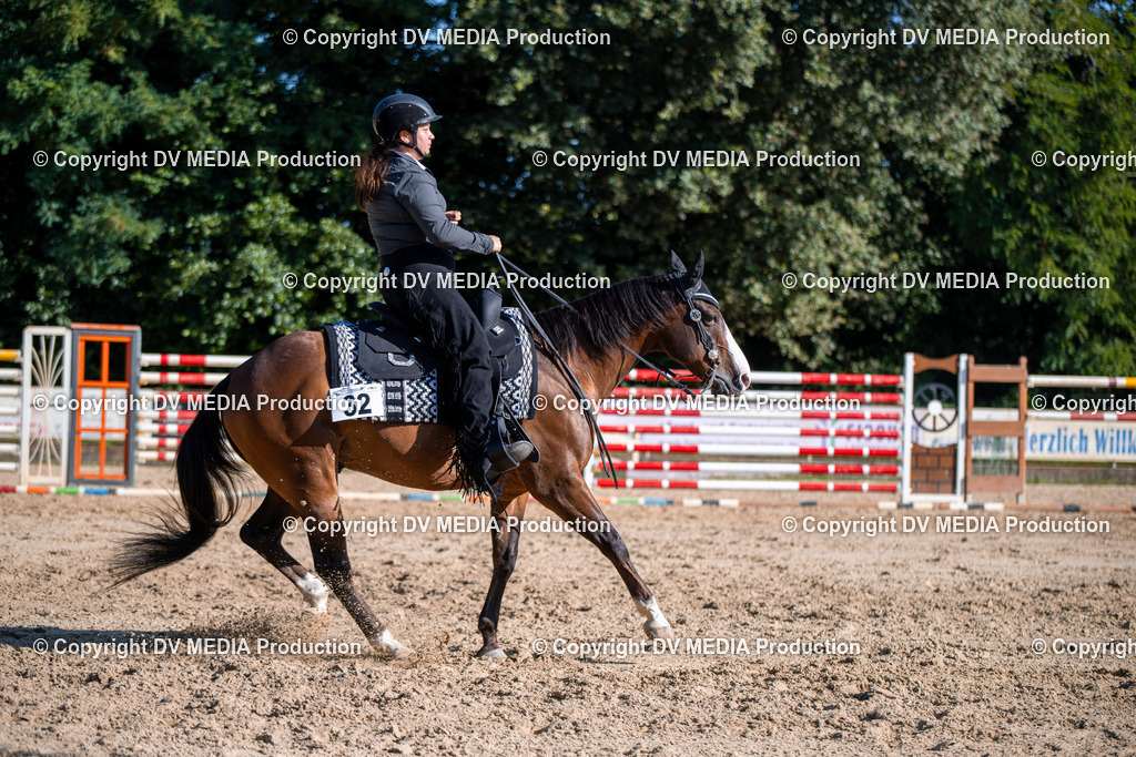 ZS1_0781 | dv-media-shop - Realisiert mit Pictrs.com