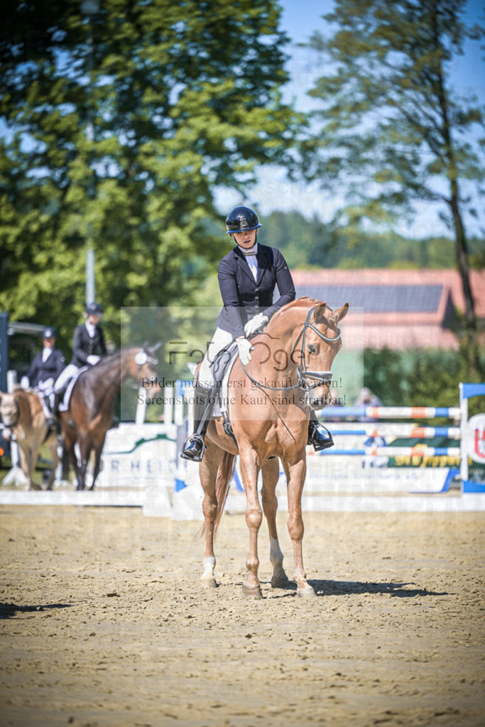 DOS_6146 | Entdecke hochwertige Reitturnierfotos von Foto Oger. Professionell, emotional und authentisch – jetzt Lieblingsmomente im Shop bestellen.Deutschlandweite Turnierfotografie. - Realisiert mit Pictrs.com