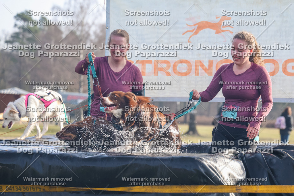 Dog Paparazzi - Strongdog North Mrz26-130 | Dog Paparazzi Jeanette Grottendiek Fotografie & Videografie - Realisiert mit Pictrs.com