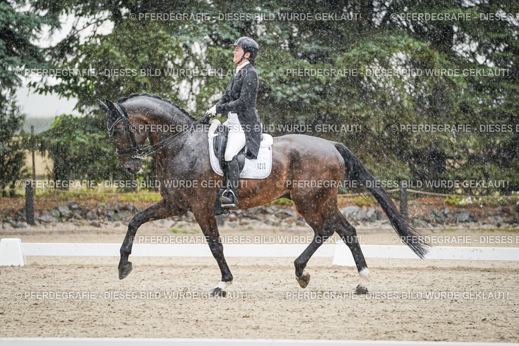 DSC08120 | Pferdegrafie