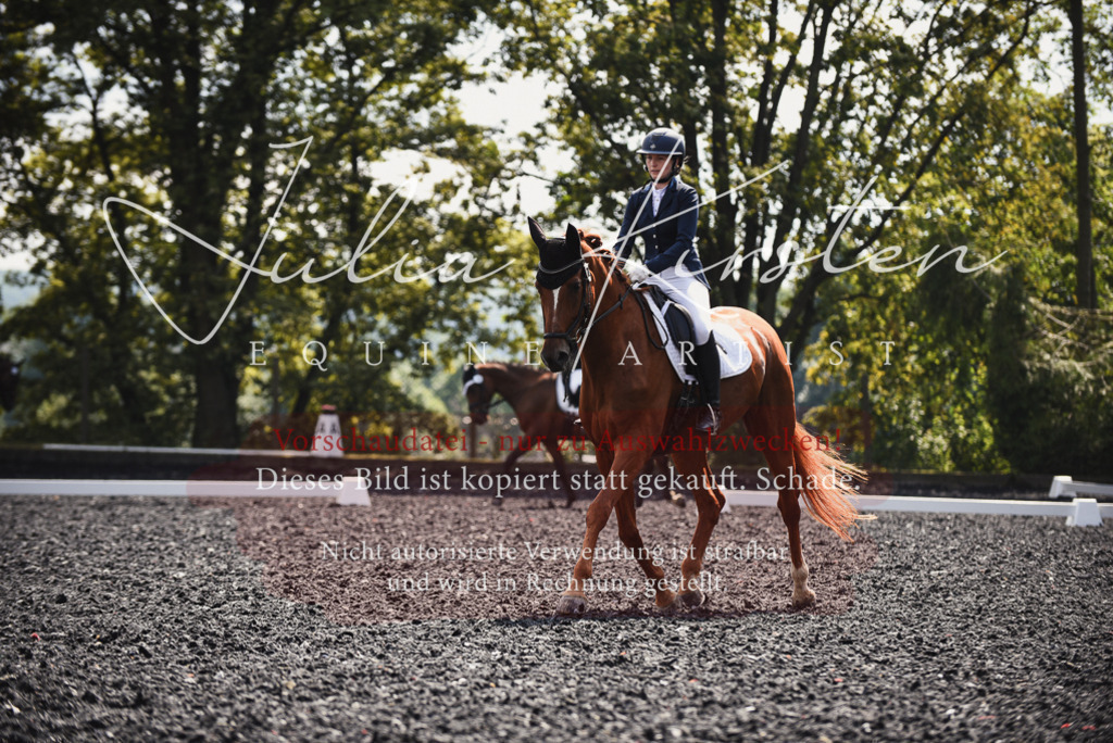 DSC_4116 | Pferde- und Turnierfotografie in Westsachsen. Pferdeportraits, Auftragszeichnungen und intuitive Kunst.