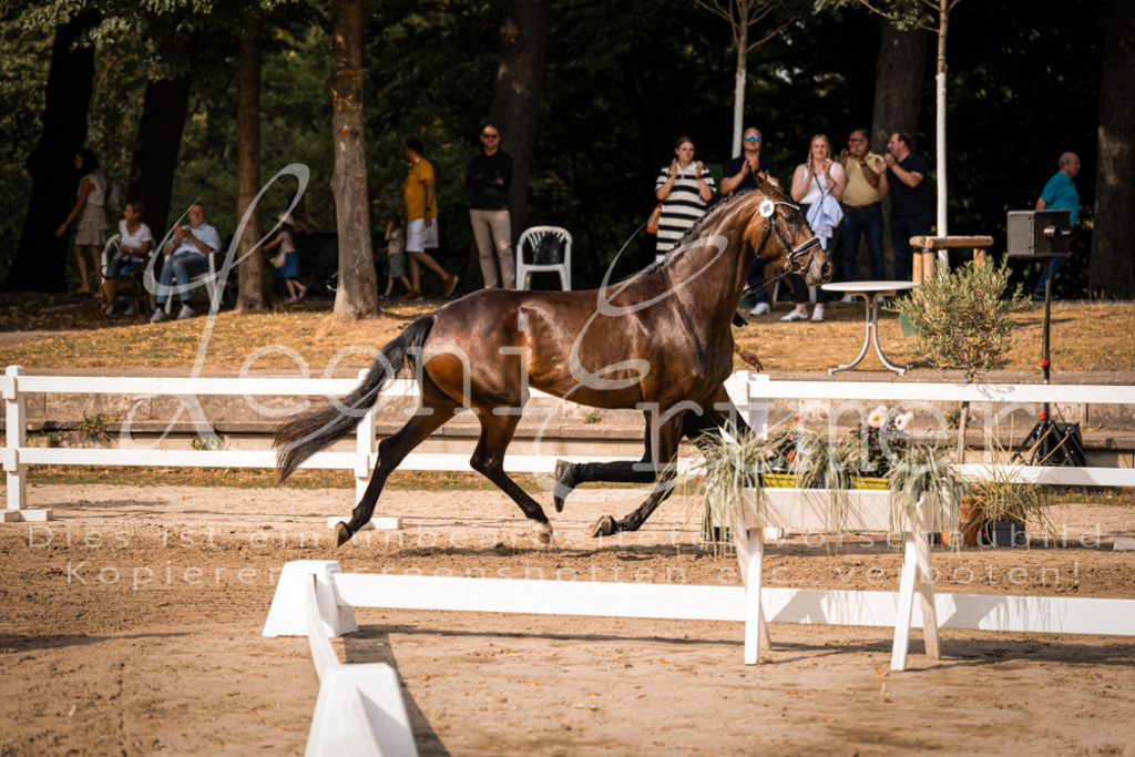 FrER00170 | Leoni Ertmer Photography - Realisiert mit Pictrs.com