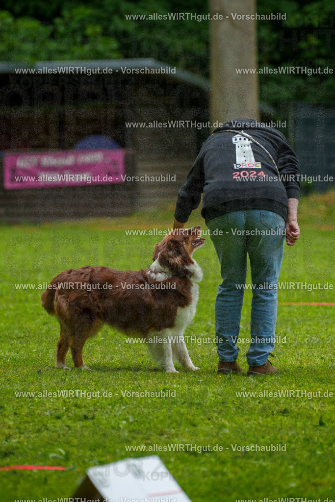 @allesWIRTHgut_Tierfotografie - www.allesWIRTHgut.de - 7R502546 | Professionelle Tierfotografie in Mönchengladbach von Daniel Wirth (allesWIRTHgut). Liebevolle & natürliche Bilder von Hunden & Katzen für unvergessliche Erinnerungen.