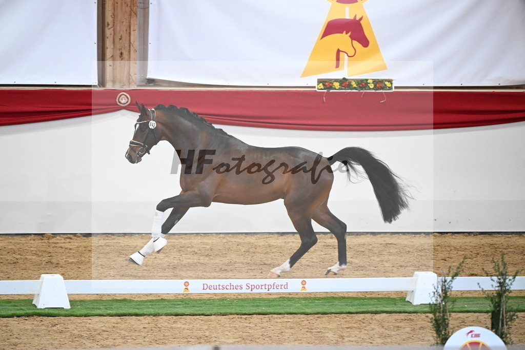Kat.-Nr. 42 v. Benicio_De Vittorio_2250043 | hf-fotografie - Realisiert mit Pictrs.com