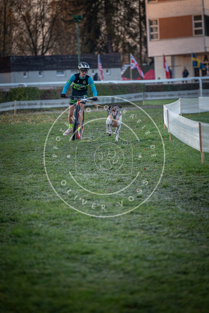 CaniXpix_0L8A0900 | Hundefotografie, Tierfotograf, Pfotenfotografie, Fotoshooting Hund, Hunde Portrait, Hundesport, Hundeportraits, Heideshooting, Hunde, Sportfotograf, Hundefotograf, Turnierhundsport, THS,  - Realisiert mit Pictrs.com