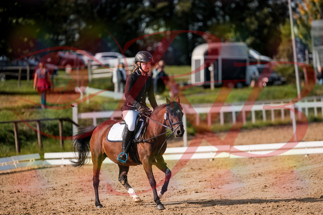 2026_10_03_Siefer-Hof_120805_Z63_37425998 | Professionelle Reitsport-, Turnier- und Eventfotografie von Robert Broda. Galerien mit ausgewählten und bearbeiteten Bildern direkt online ansehen und bestellen.
