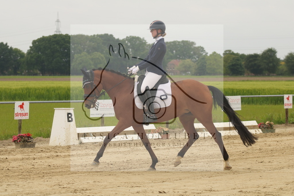 IMG_6876 | jessicahollubetz_pferdephotographie - Realisiert mit Pictrs.com