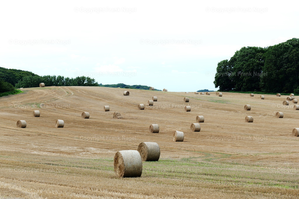 Heuballen-Addition1 | dataxp - Realisiert mit Pictrs.com