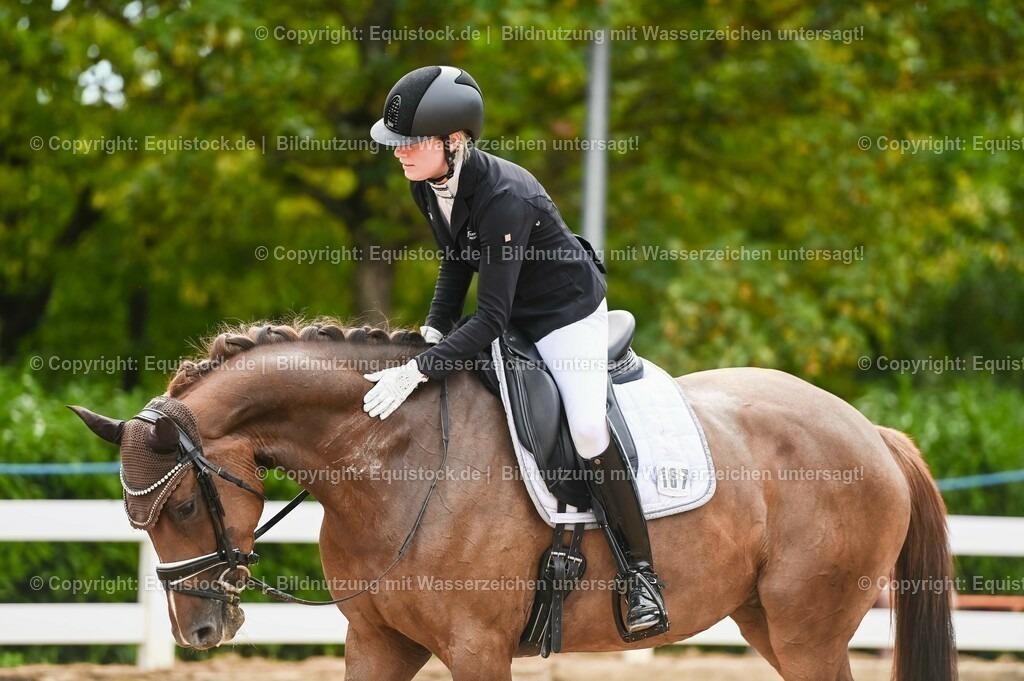 20230715_07_Dressurpferdeprfg. Kl.L_0073 | equistock