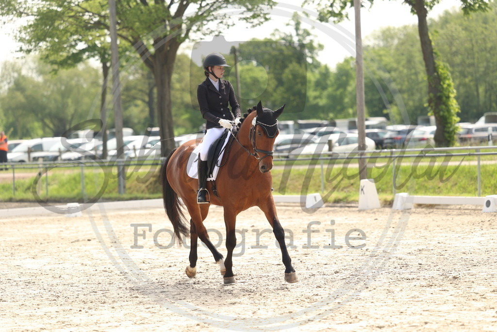 994A6440 | sabrinanicolaifotografie - Realisiert mit Pictrs.com