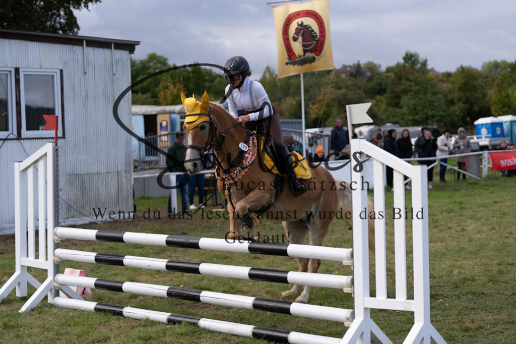 A7V06457 | Pferdefotograf