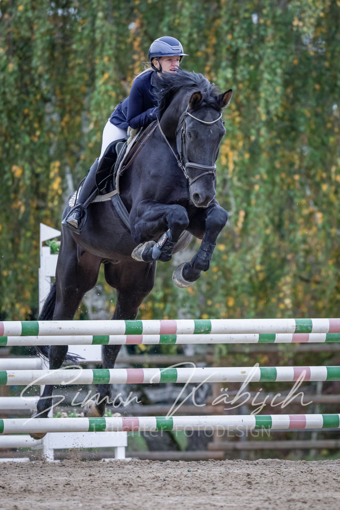 20251012-_3LI4496 | Tierfotografie Pferde, Hunde, Katzen, Haustiere.
Turnierfotografie Reitturniere, Reiten, Springreiten, Dressur in Hanau, dem Main-Kinzig-Kreis und dem Rhein-Main- Gebiet um Frankfurt