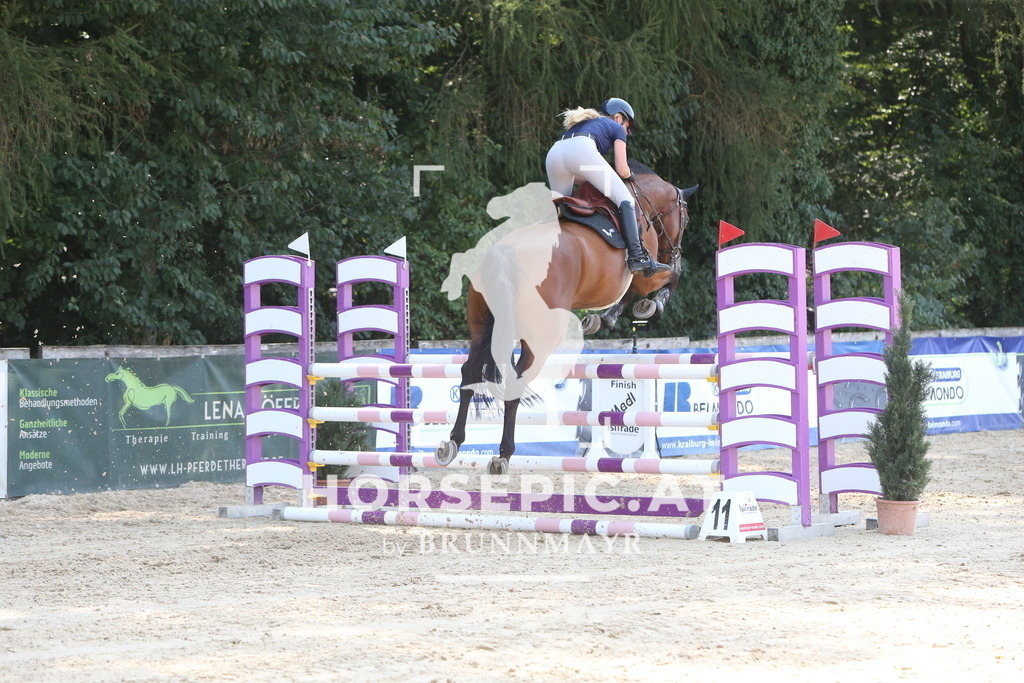 DL2Q1687 | Willkommen bei Brunnmayr - Design & Fotografie – Ihrem Spezialisten für Reitturniere und Pferdeveranstaltungen in Oberösterreich, Salzburg und Bayern! Seit über 17 Jahren sind wir leidenschaftlich dabei.