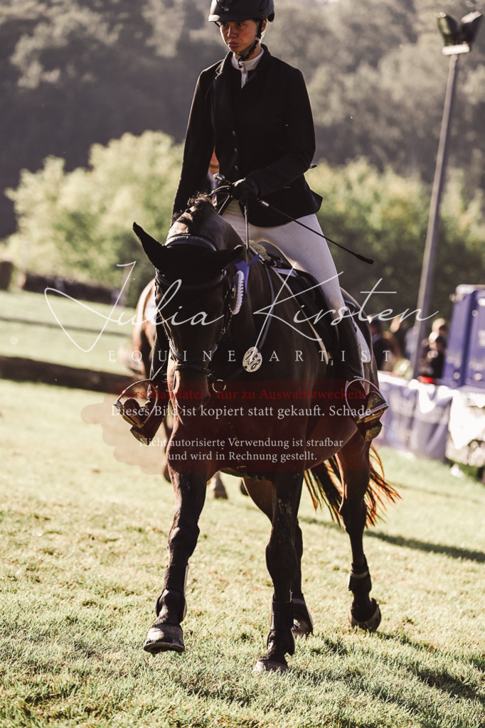 DSC_4643 | Pferde- und Turnierfotografie in Westsachsen. Pferdeportraits, Auftragszeichnungen und intuitive Kunst.