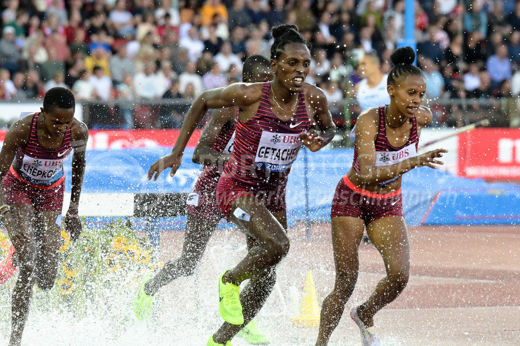 Leichtathletik: Weltklasse Zürich | 08.09.2022, Zürich, Letzigrund, Leichtathletik: Weltklasse Zürich, GETACHEW Werkuha (ETH) und YAVI Winfred Mutile (BRN) im 3000m-Hindernislauf der Frauen. - Realisiert mit Pictrs.com